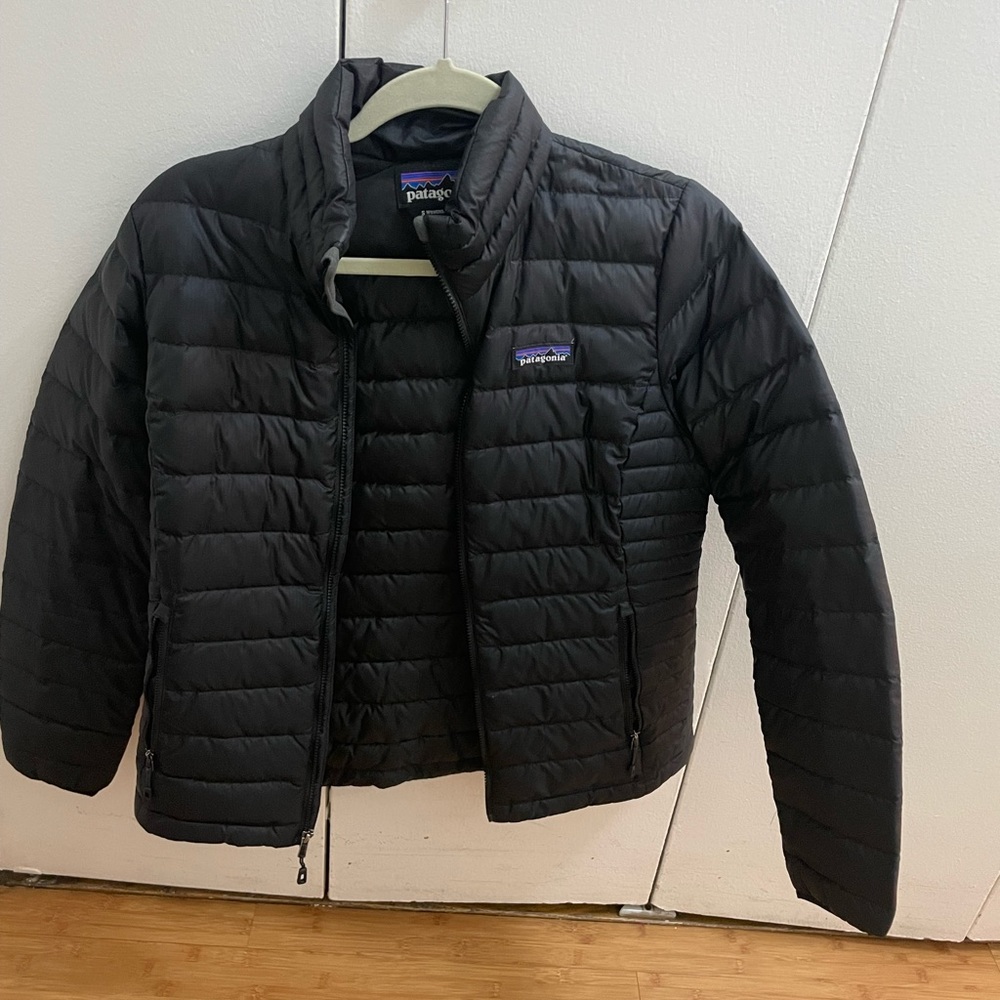 COPY - Patagonia Puff Jacket